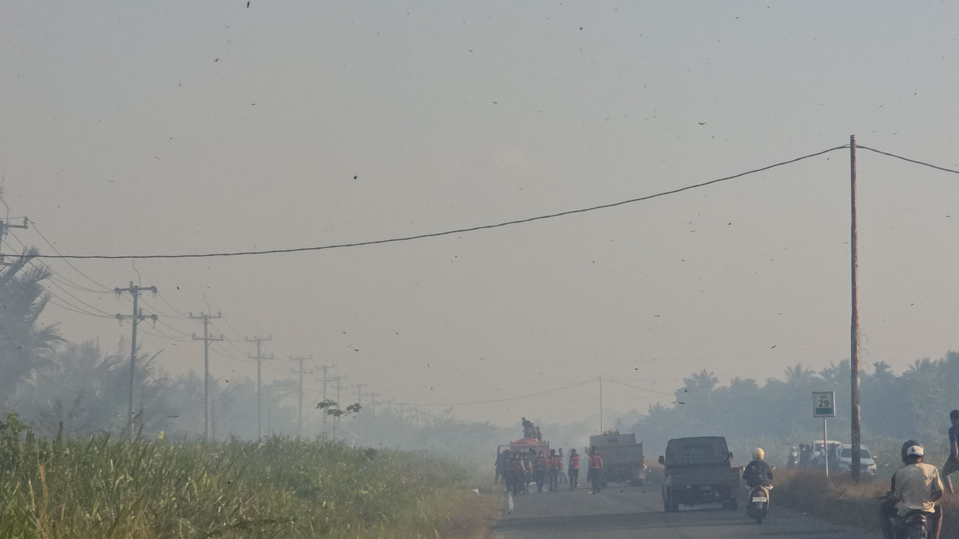 foto berita
